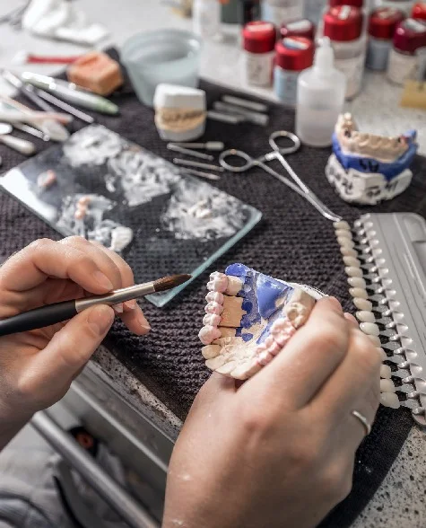 Dental technician paint